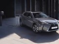 Lexus UX 300e 72.8 kWh (204 Hp)