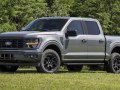 Ford F-Series F-150 XIV SuperCrew (facelift 2023) - Photo 2