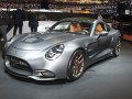 Puritalia Berlinetta - Scheda Tecnica, Consumi, Dimensioni