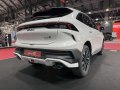 2025 EVO 6 - Photo 5