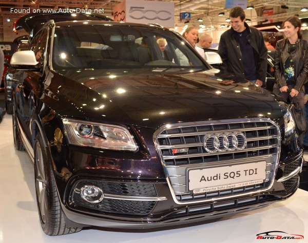 2014 Audi SQ5 I (8R) - Fotografia 1