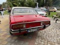 Ford Granada (GGTL,GGFL) - Kuva 3