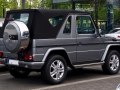 2008 Mercedes-Benz G-Serisi cabriolet (W463, facelift 2008) - Fotoğraf 2