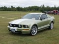 2005 Ford Mustang V - Снимка 9