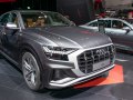 2020 Audi SQ8 - Снимка 41