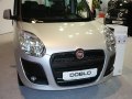 2010 Fiat Doblo II - Фото 4