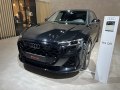 2025 Audi RSQ8 (4M, facelift 2024) - Foto 96