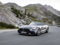 Mercedes-Benz AMG GT Roadster (R190) - Photo 5