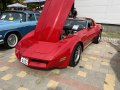 Chevrolet Corvette Coupe (C3, facelift 1978) - Снимка 9