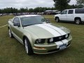 2005 Ford Mustang V - Снимка 8