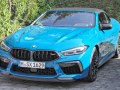 2019 BMW M8 Convertible (F91) - Photo 42
