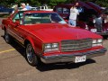 1976 Buick Regal I Coupe (facelift 1976) - Technical Specs, Fuel consumption, Dimensions