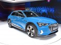 2019 Audi e-tron - Fotografie 24
