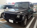 Mercedes-Benz G-sarja Long (W463, facelift 2007) - Kuva 5