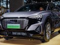 2022 Audi Q5 e-tron - Fotografia 4