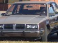 1982 Pontiac 6000 - Kuva 1