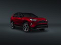 Toyota RAV4 V - Fotografie 3