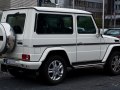 2008 Mercedes-Benz G-class (W463, facelift 2008) - Photo 2