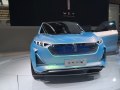 2019 WEY X Concept - Foto 4