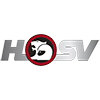 HSV - Технические характеристики, Расход топлива, Габариты