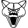 Puma - Технические характеристики, Расход топлива, Габариты